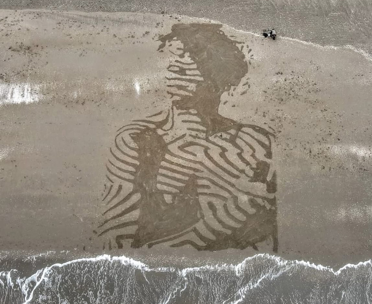Strandkunst van De Strandharker